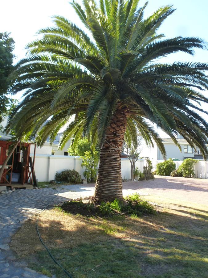 Cape Town Milnerton Lagoon Villa Ngoại thất bức ảnh